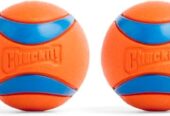 Chuckit! 17001 2.5-Inch Ultra Ball 2 Pack