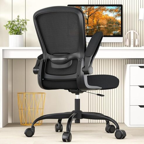 Office Chair, Ergonomic Desk Chair with Adjustable Lumbar Support, High Back Mesh Computer Chair with Flip-up Armrests-BIFMA Passed Task Chairs